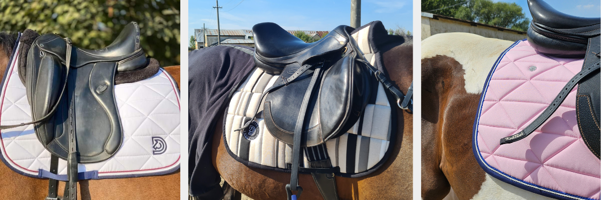Top 5 Custom Saddle Pad Trends for 2025
