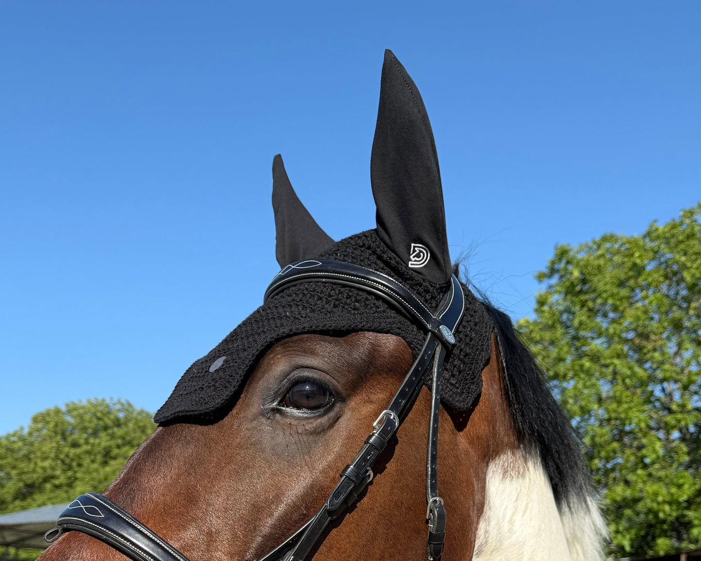 Fly veil Aura in obsidian on the horse