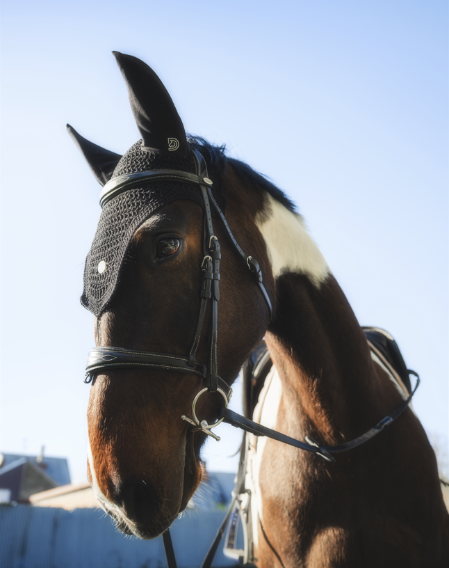 Fly veil Aura in black color on piebald horse