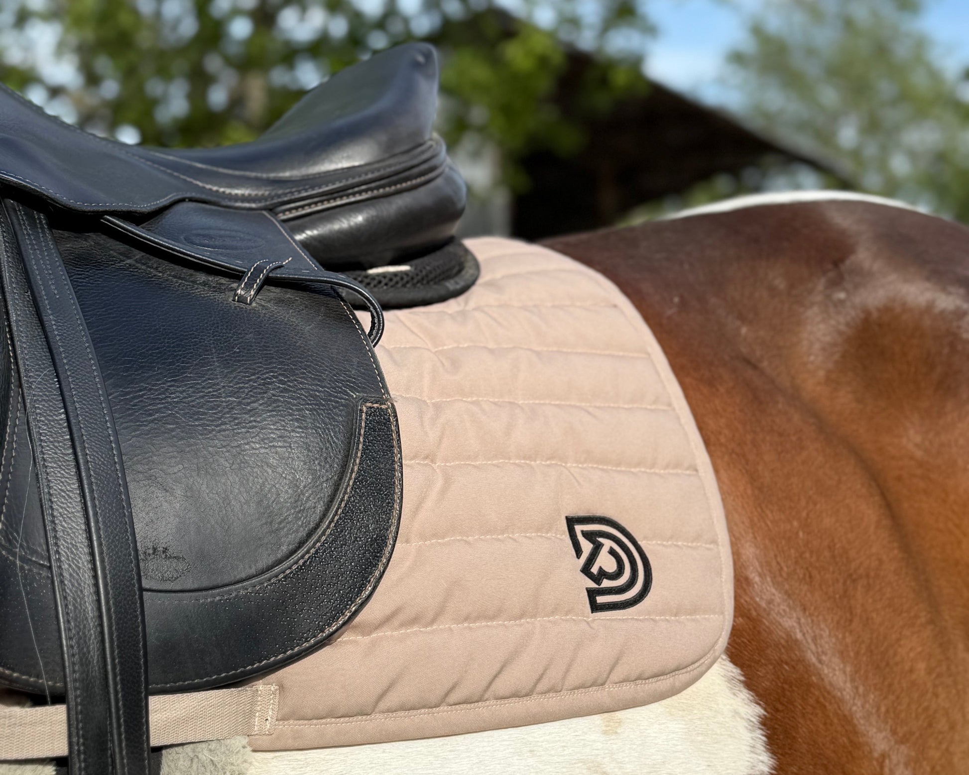 Serra saddle pad in Dune fitted under English saddle