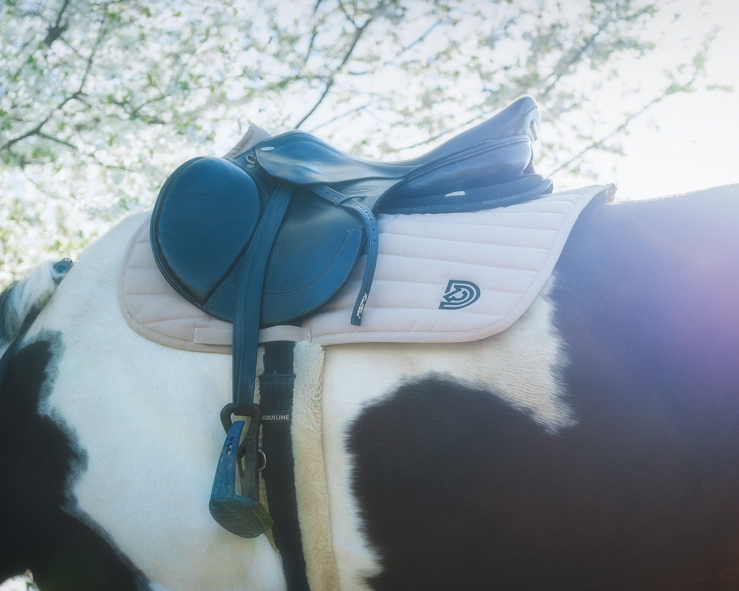 Serra saddle pad in Dune fitted under English saddle