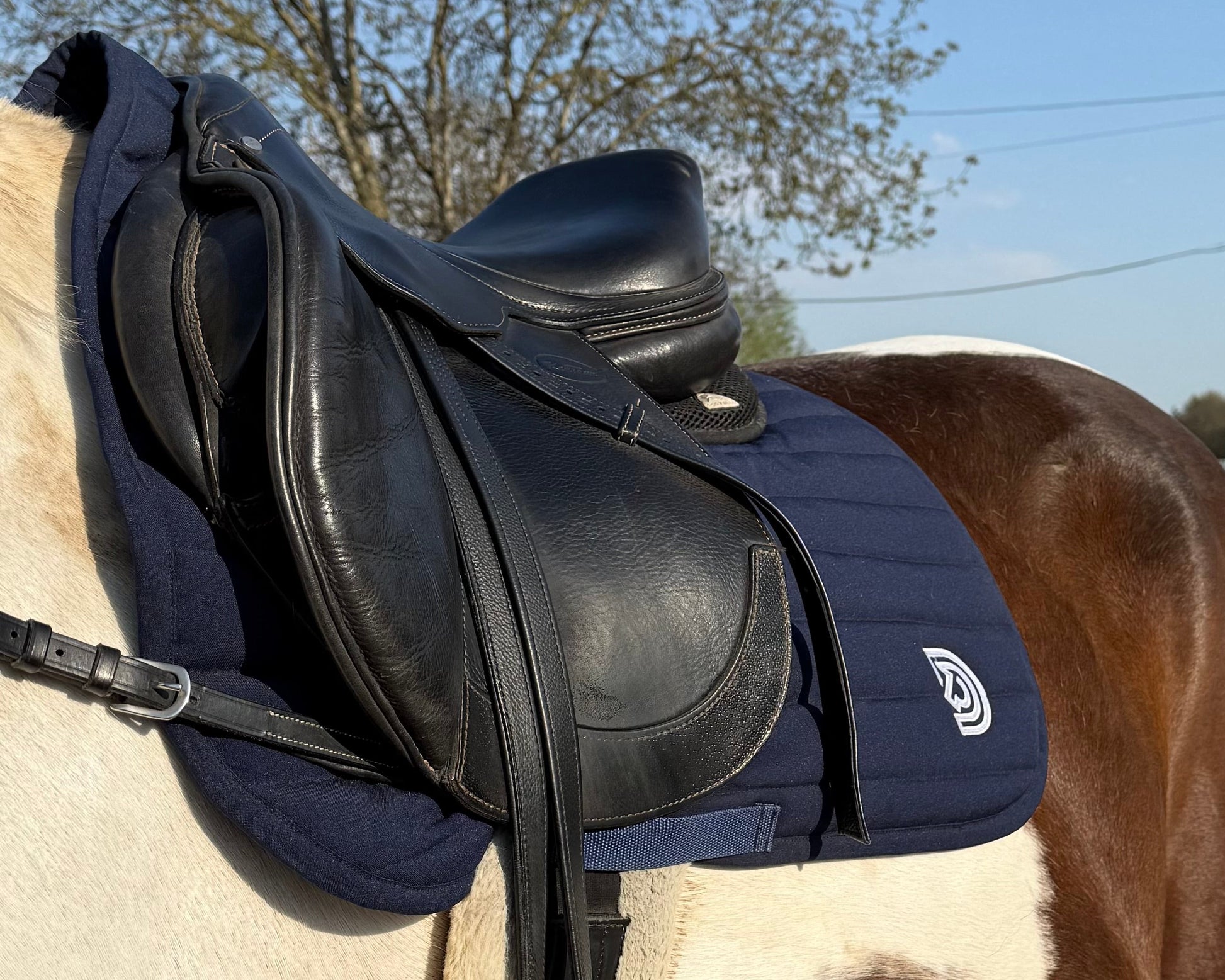 Serra saddle pad in Midnight fitted under English saddle