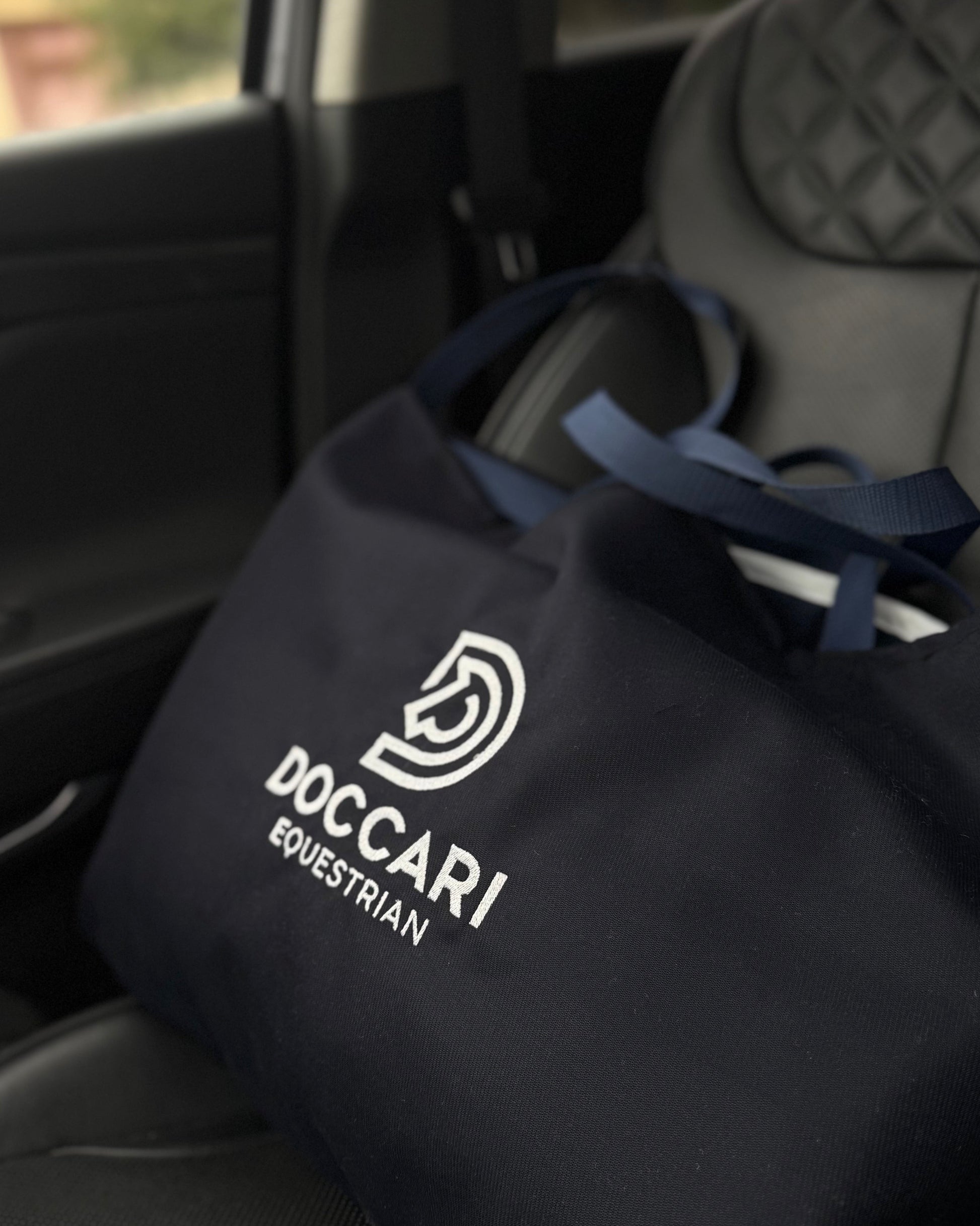 stable tote in the car